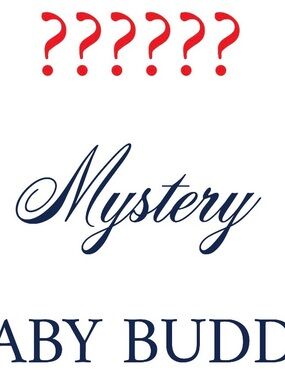 Mystery Baby box 50 piece